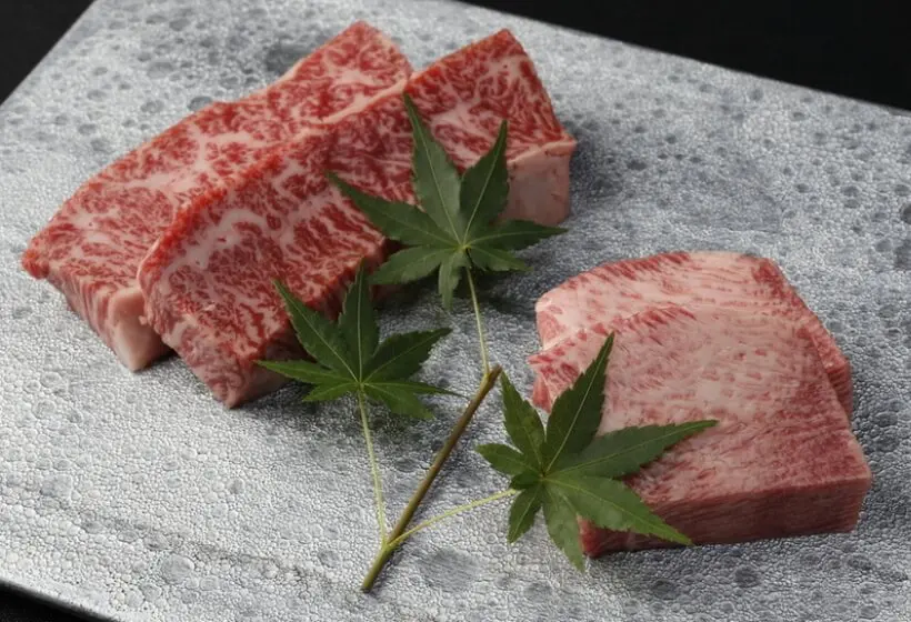 正規取扱認定店